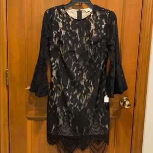 Francesca’s lace dress with bell sleeve